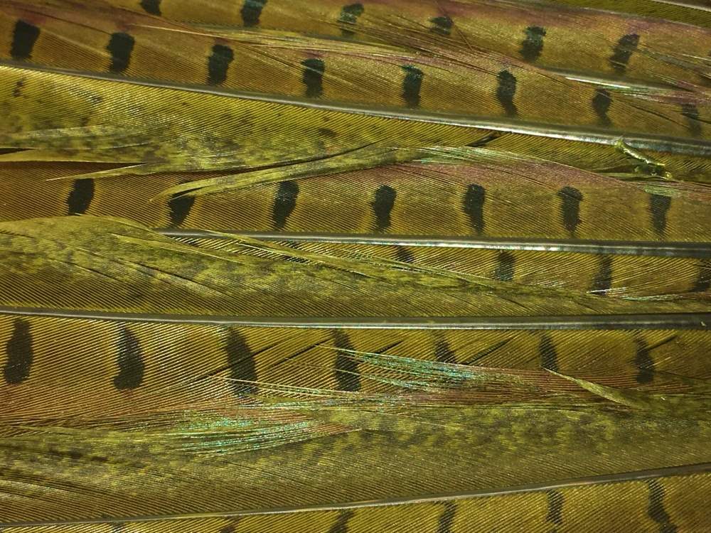 Veniard Cock Feather Pheasant Tails Complete Olive Fly Tying Materials