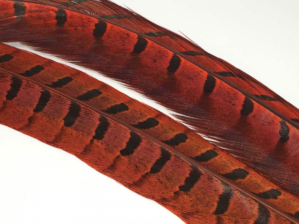 Veniard Cock Feather Pheasant Ringneck Centre Tails Orange Fly Tying Materials