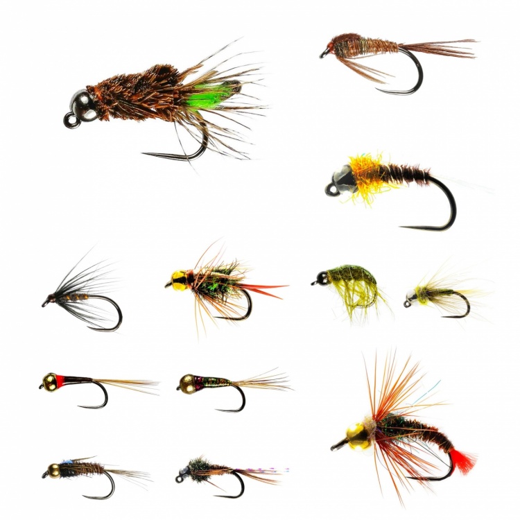 6PCS Pheasant Tippet Tail Wet Fly Larva Nymph Trout Fishing Fly Lure Baits  #10