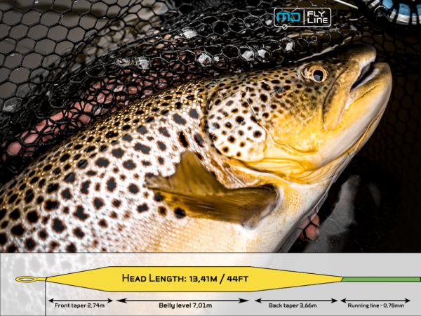 Arctic Silver Long Balance Fly Line Md-Float #4 (Length 100ft 30m)