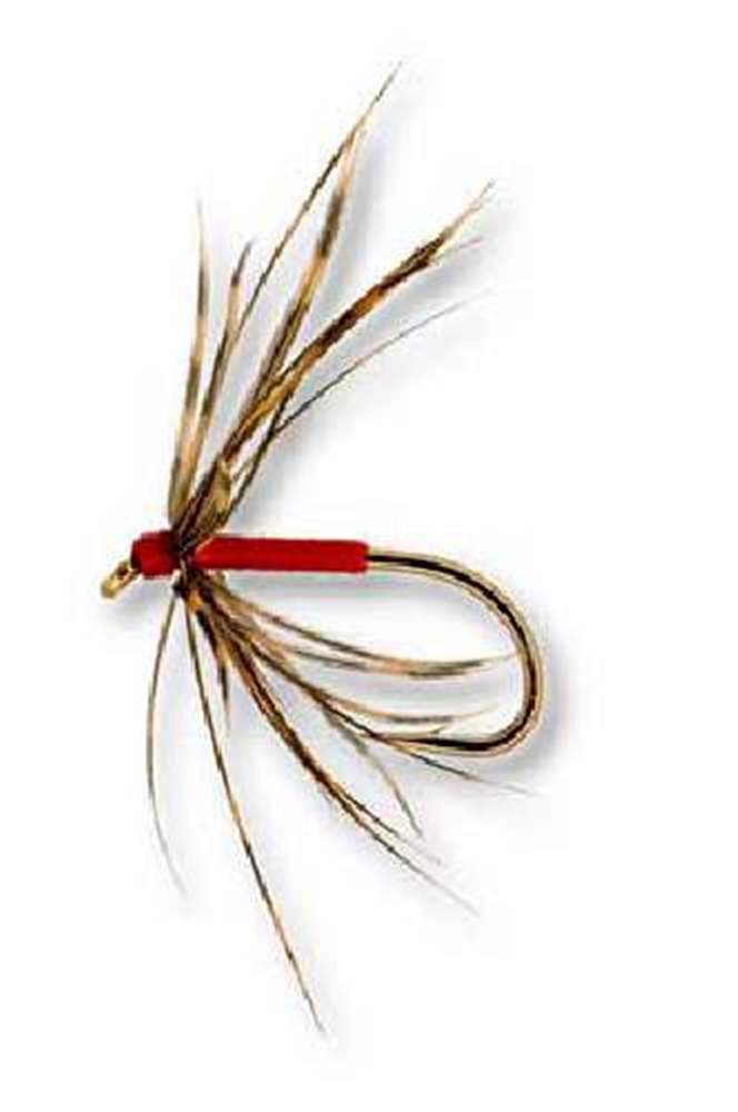 Woodcock And Red Northern Spider Trout Fly