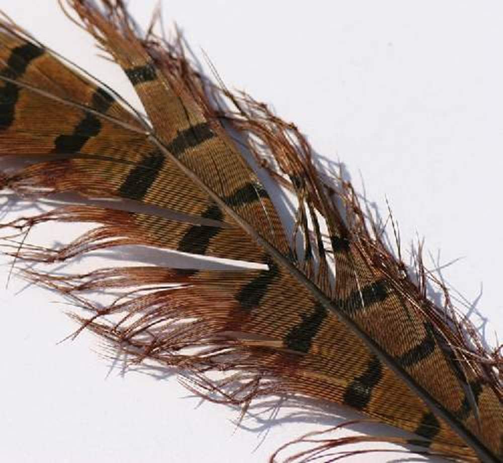 Veniard Cock Pheasant Tails Knotted on the Quill Claret
