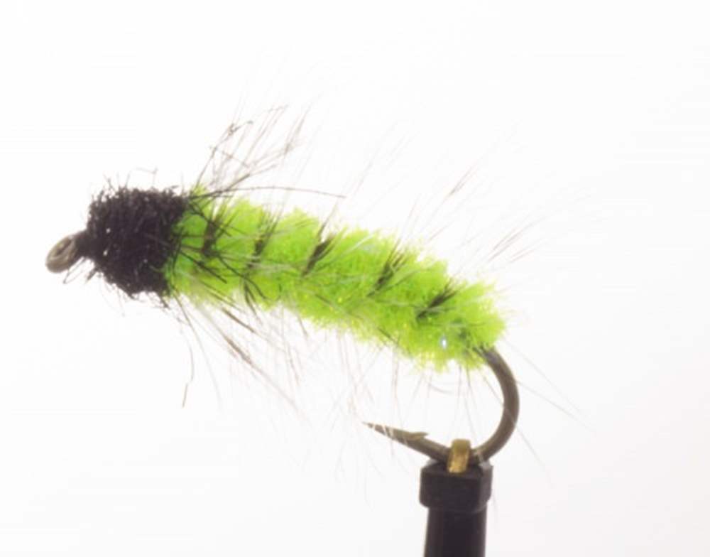 The Essential Fly Chub Caterpillar Green Fishing Fly
