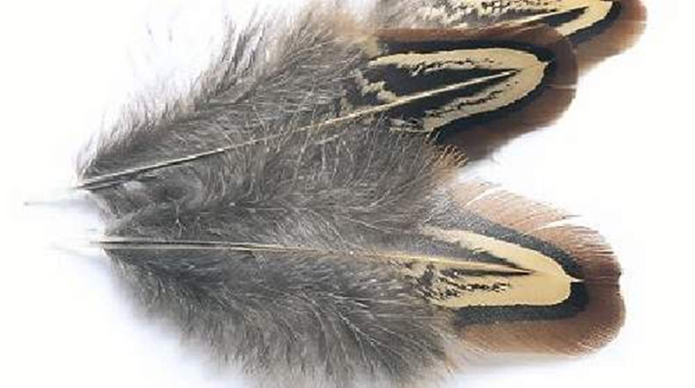 Pheasant Cock ringneck Chinese Back Patch Natural Fly Tying Feathers