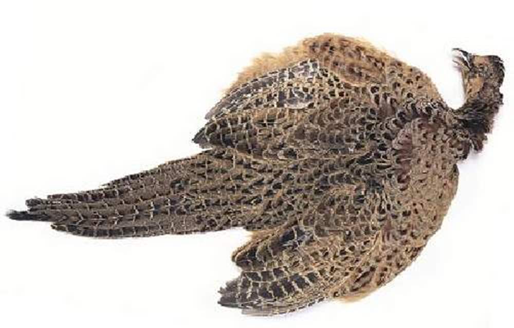 Veniard Hen Pheasant Ringneck Complete Skin Fly Tying Materials
