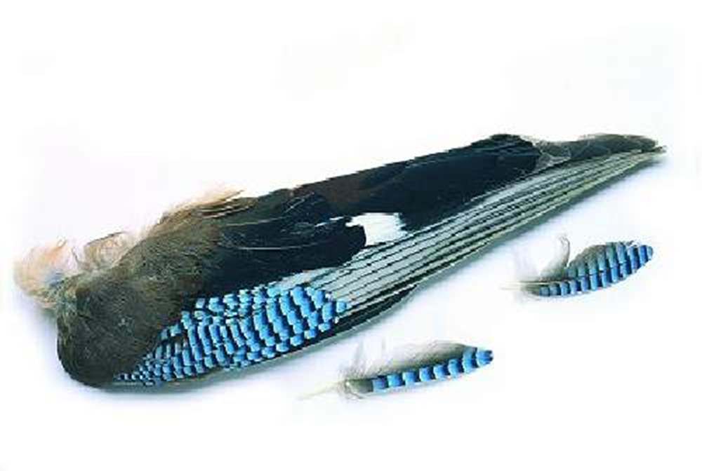 Veniard Jay Whole Wings Fly Tying Materials