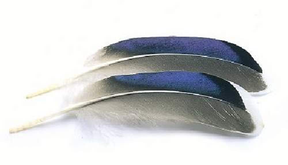 Veniard Mallard Duck Wing Quills Blue White Tip Fly Tying Materials