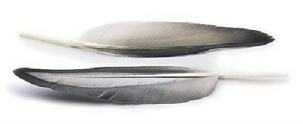 Veniard Mallard Duck Wing Quills Grey Fly Tying Materials