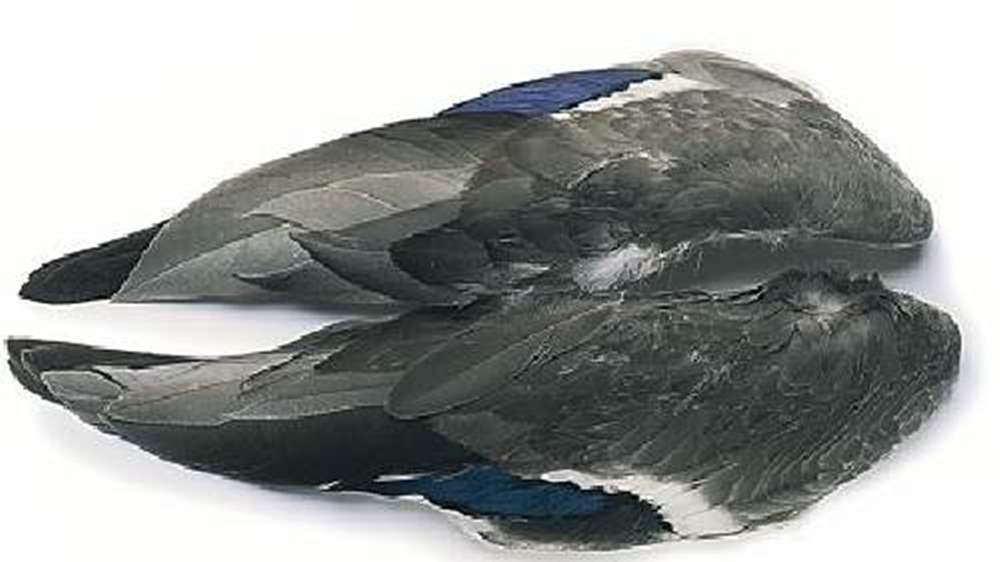 Veniard Mallard Duck Whole Wings Fly Tying Materials
