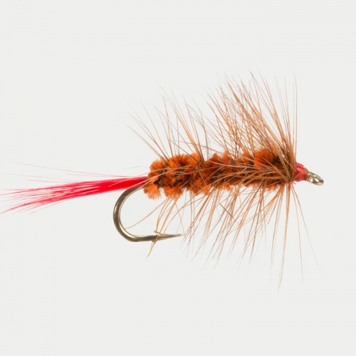 The Essential Fly Brown Woolly Worm Fishing Fly
