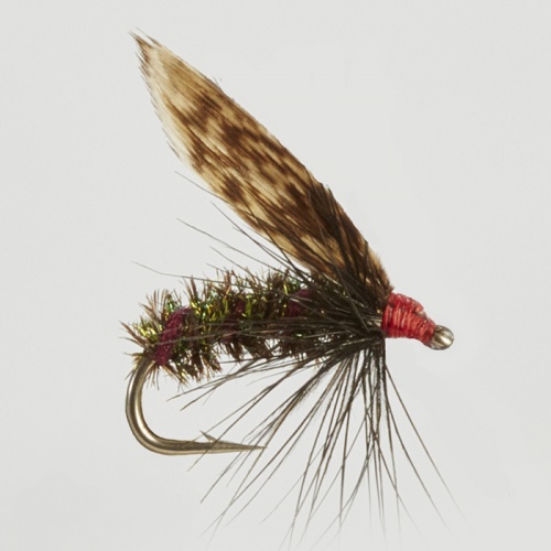 The Essential Fly Alder Fishing Fly
