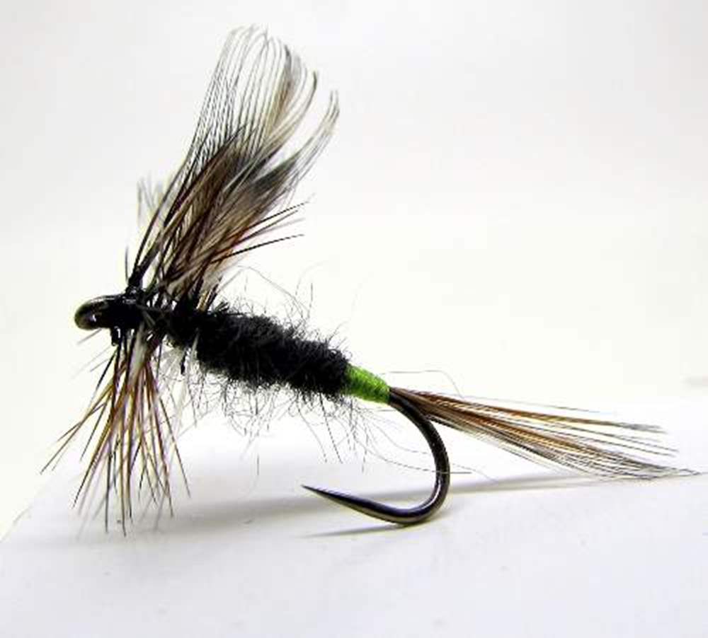 The Essential Fly Barbless Adams Female Fishing Fly
