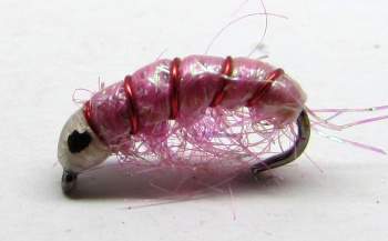 The Essential Fly Barbless Infected Pink Shrimp Fishing Fly