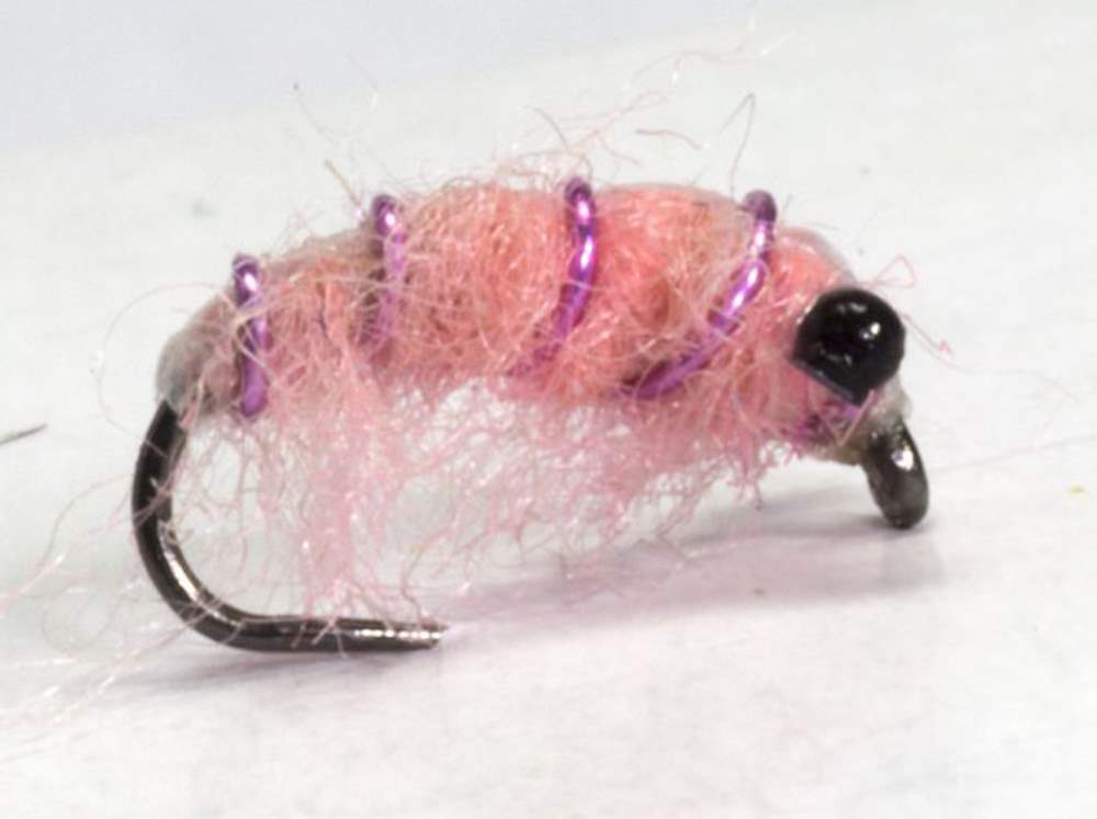 Barbless Infected Eyed Pink Shrimp