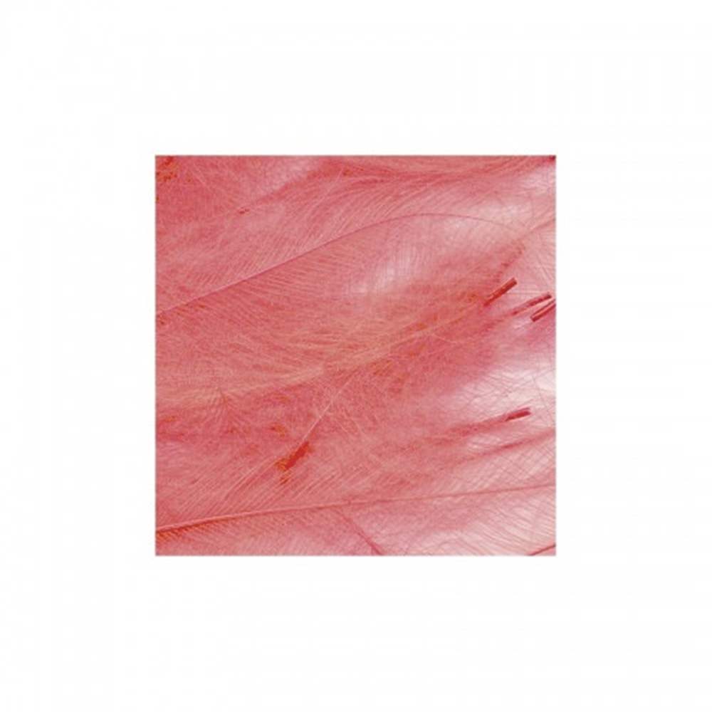 Marc Petitjean Cdc Feathers 1 Gram Pack Fluorescent Red #11 Fly Tying Materials