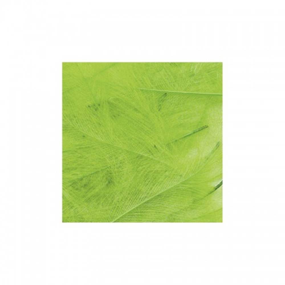 Marc Petitjean - CDC Feathers - 1 Gram Pack - Fl. Green #12