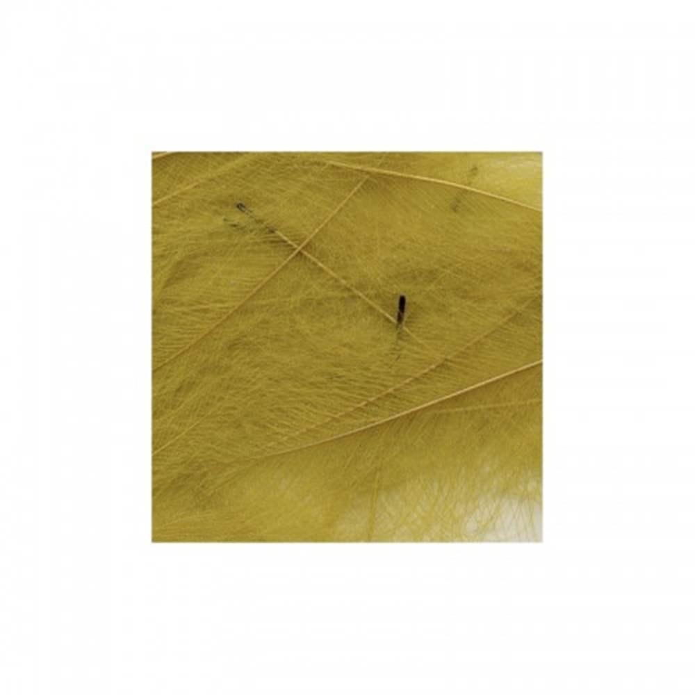 Marc Petitjean Cdc Feathers 1 Gram Pack Yellow (Old) #9 Fly Tying Materials