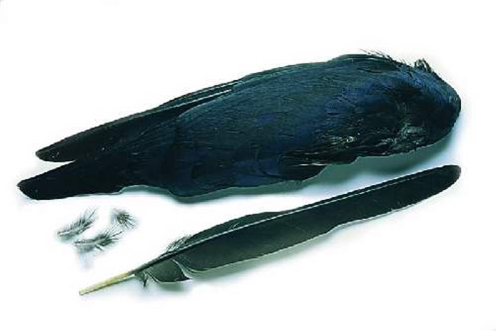 Veniard Crow Wings Fly Tying Materials