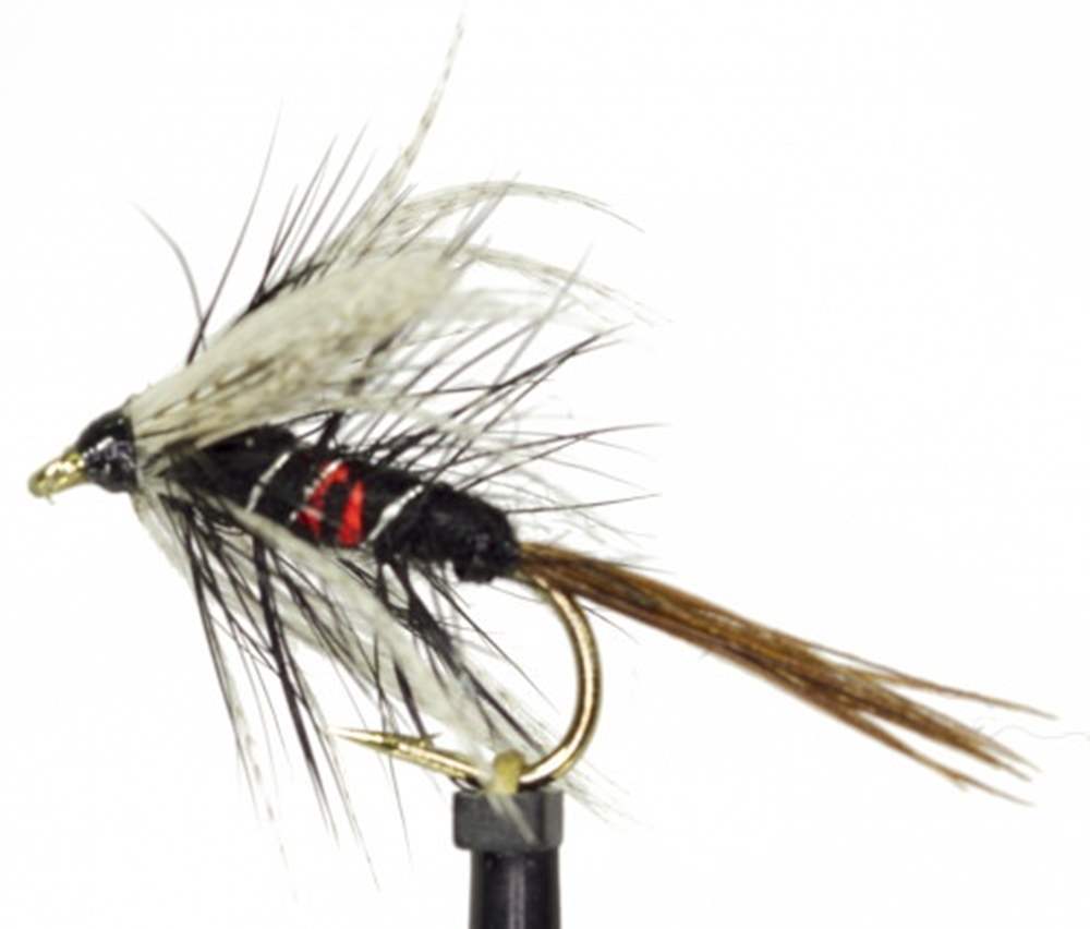 The Essential Fly Bibio Dabbler Fishing Fly