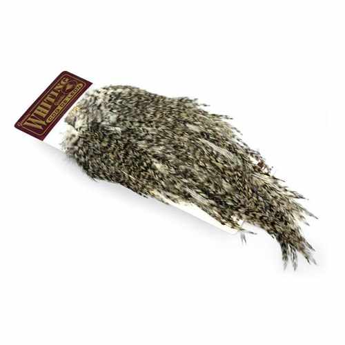 Whiting Coq de Leon Rooster Saddle Bronze