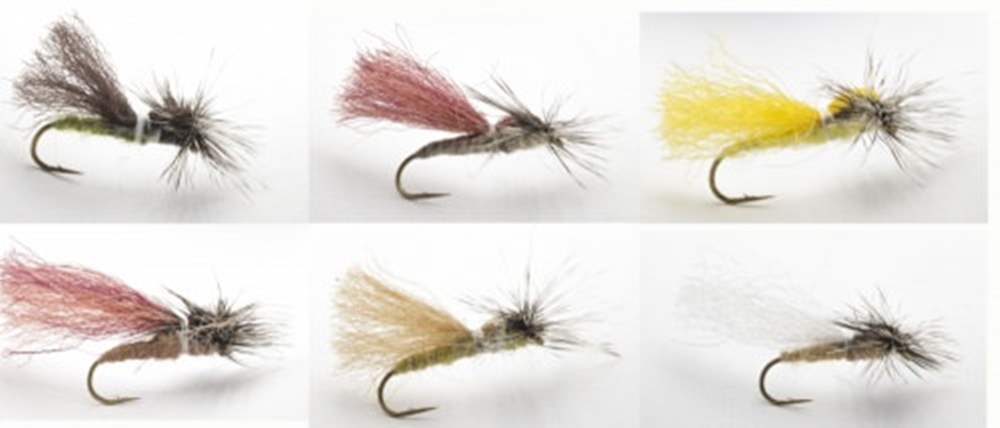 The Essential Fly Hans Van Klinken Parapoly Sedge Collection On Daiichi Hooks Fishing Fly