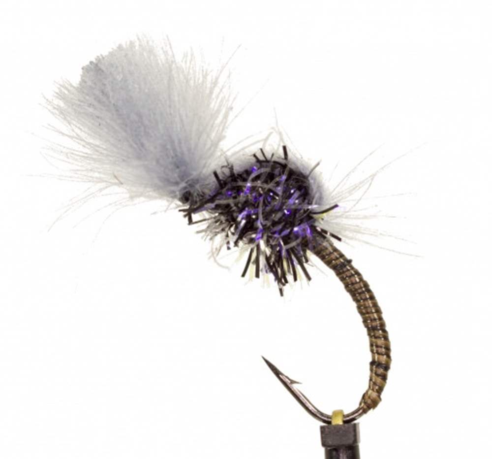 The Essential Fly Once And Away Emerger Black Fishing Fly