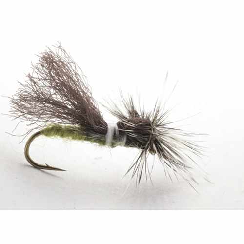 Sedge Trout Flies Great Patterns From The Essential Fly