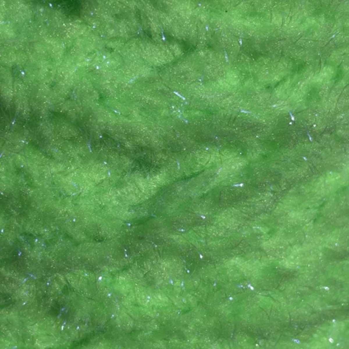 EggStatic Egg Fritz 15mm Fl Nuclear Green for Fly Tying