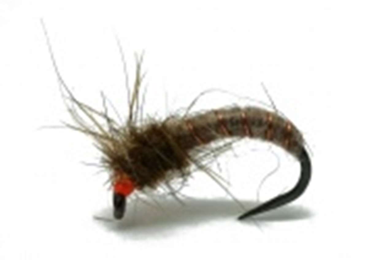 The Essential Fly Barbless Sawyer Chaddy 477 Killer Bug Fishing Fly