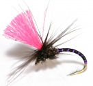 The Essential Fly Barbless Black Magic Purple Rib Dry Fly