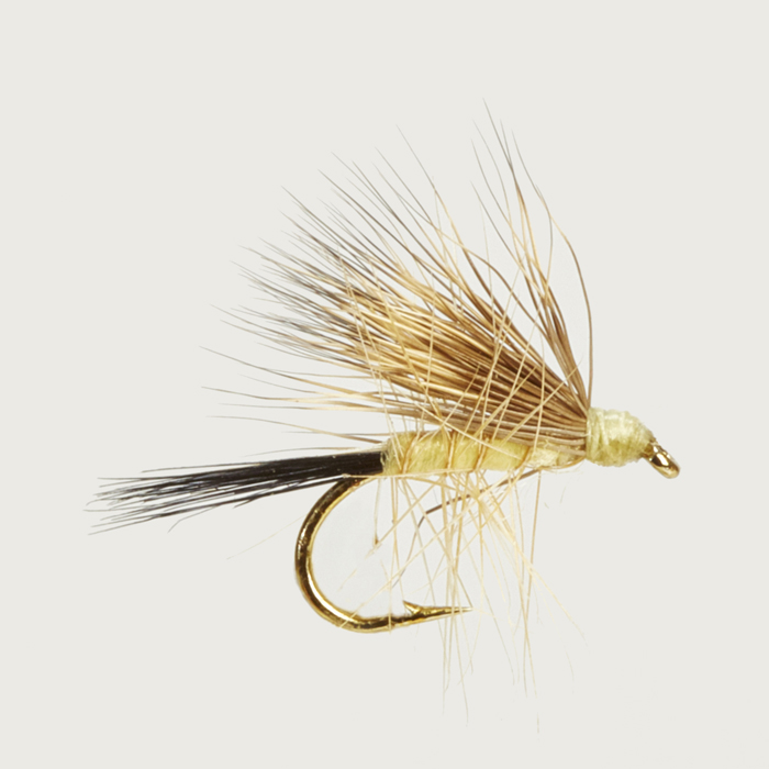 The Essential Fly Buck Caddis Light Fishing Fly