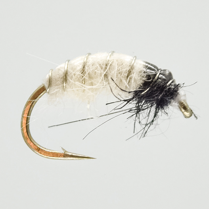 The Essential Fly White Czech Nymph Fishing Fly