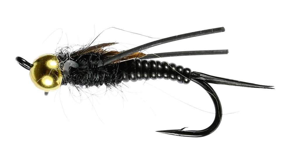 Caledonia Flies Black Stone Fly Single #6 Salmon Fishing Fly