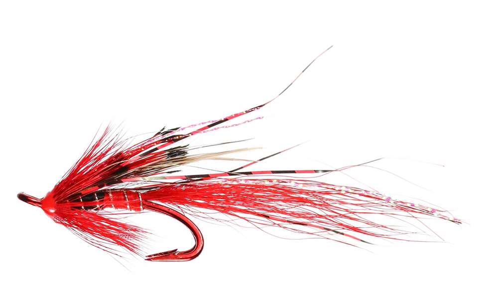 Caledonia Flies Ally's Shrimp Red Patriot Double #6 Salmon Fishing Fly