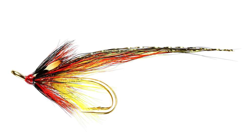 Caledonia Flies Gold Willie Gunn Jc Patriot Double #8 Salmon Fishing Fly