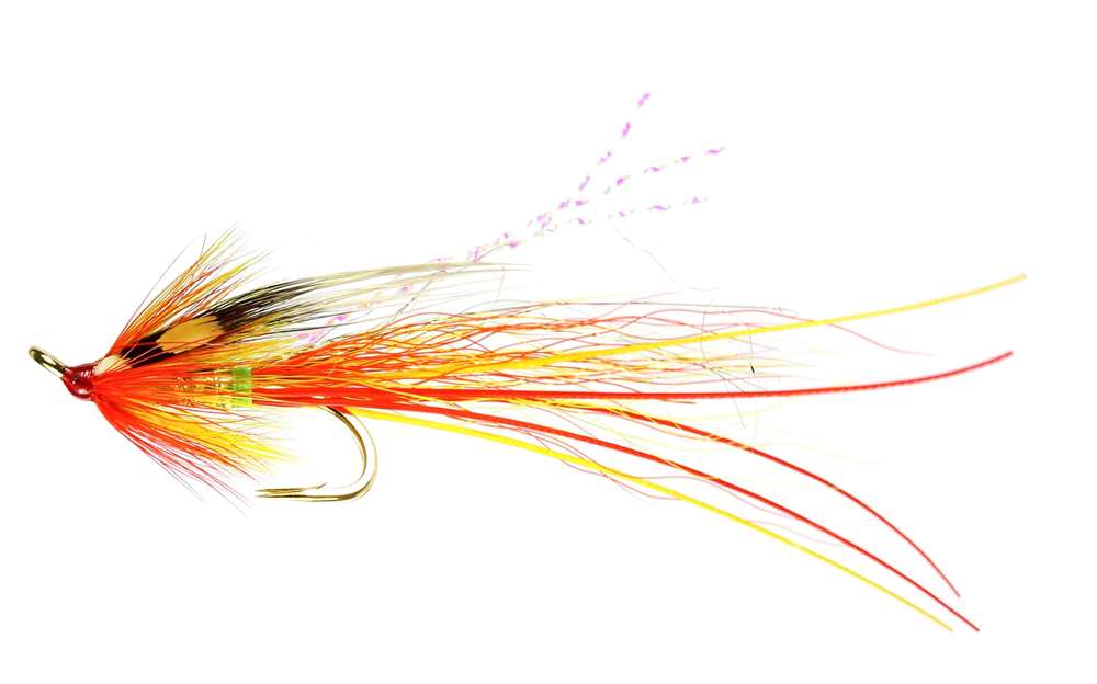 Caledonia Flies Aurora Feeler Jc Patriot Double #10 Salmon Fishing Fly