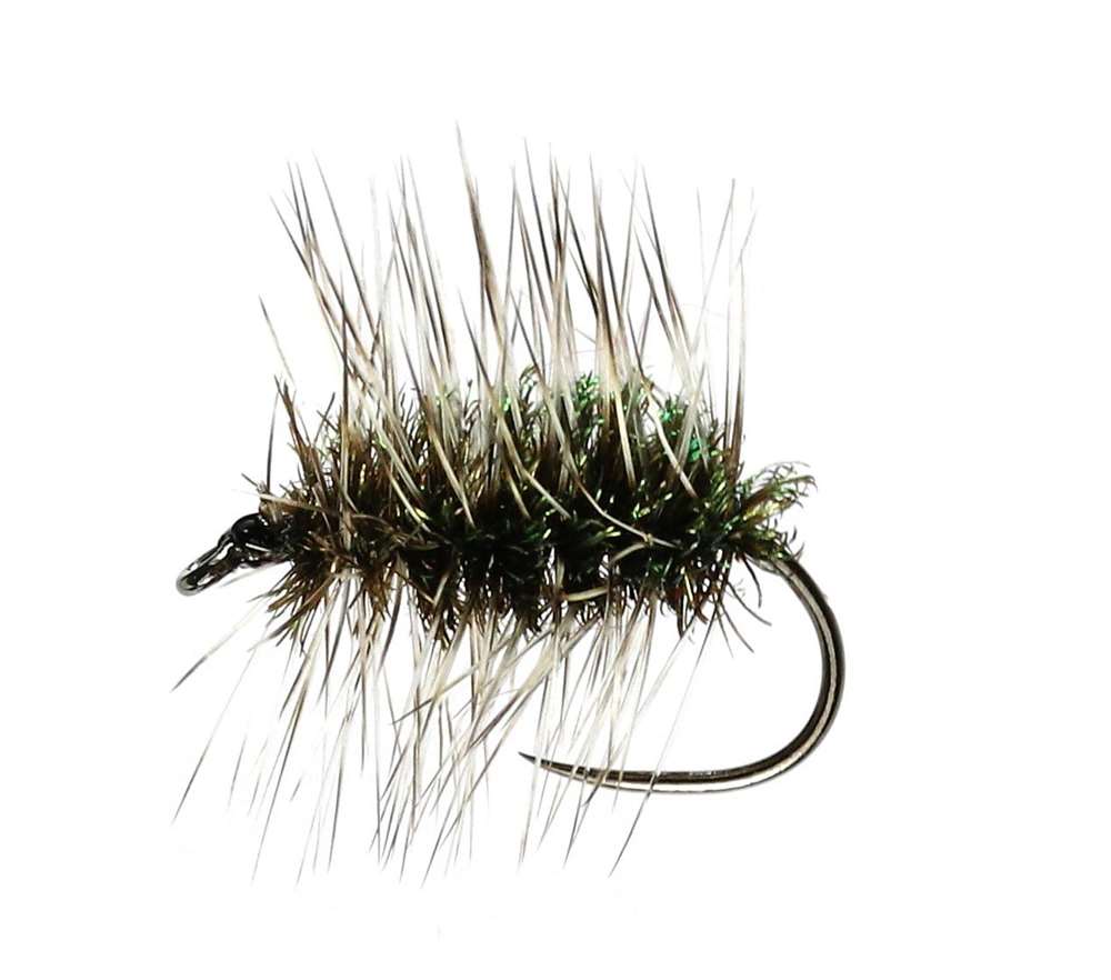 Griffiths Gnat Hackled Dry Barbless #18