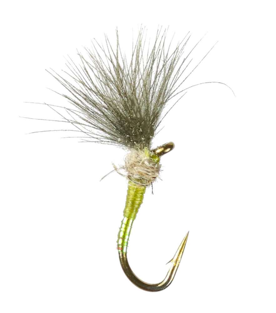 Caledonia Flies Smutting Olive Winged Dry #16 Fishing Fly