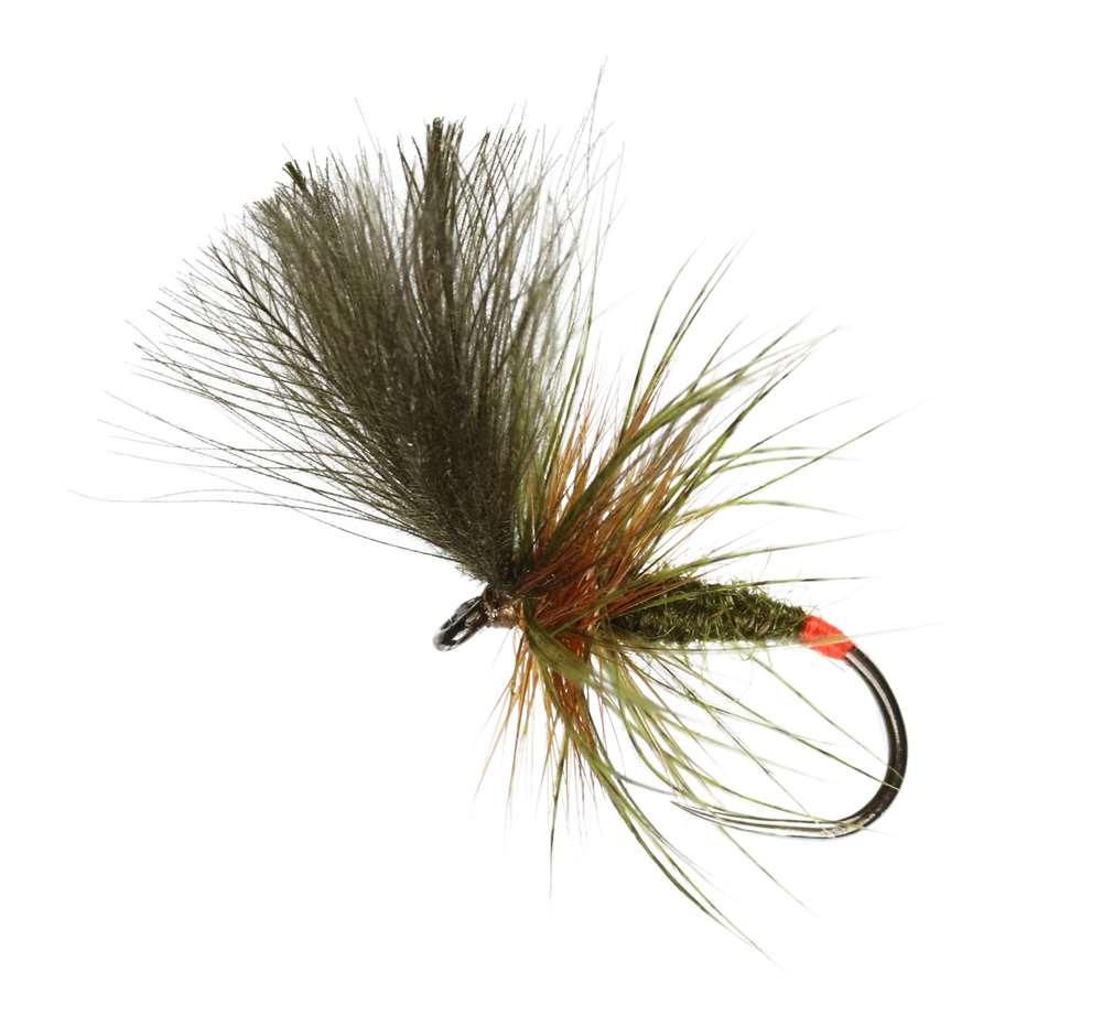 Olive Grunter Dry Barbless #12
