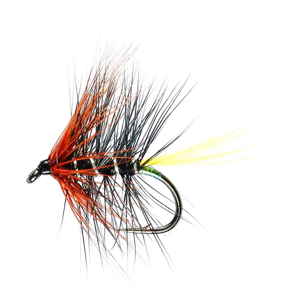 Ref W8 6 No Kate Maclaren traditional trout fly size 14 