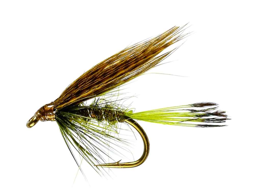 Sooty Olive Winged Wet #12