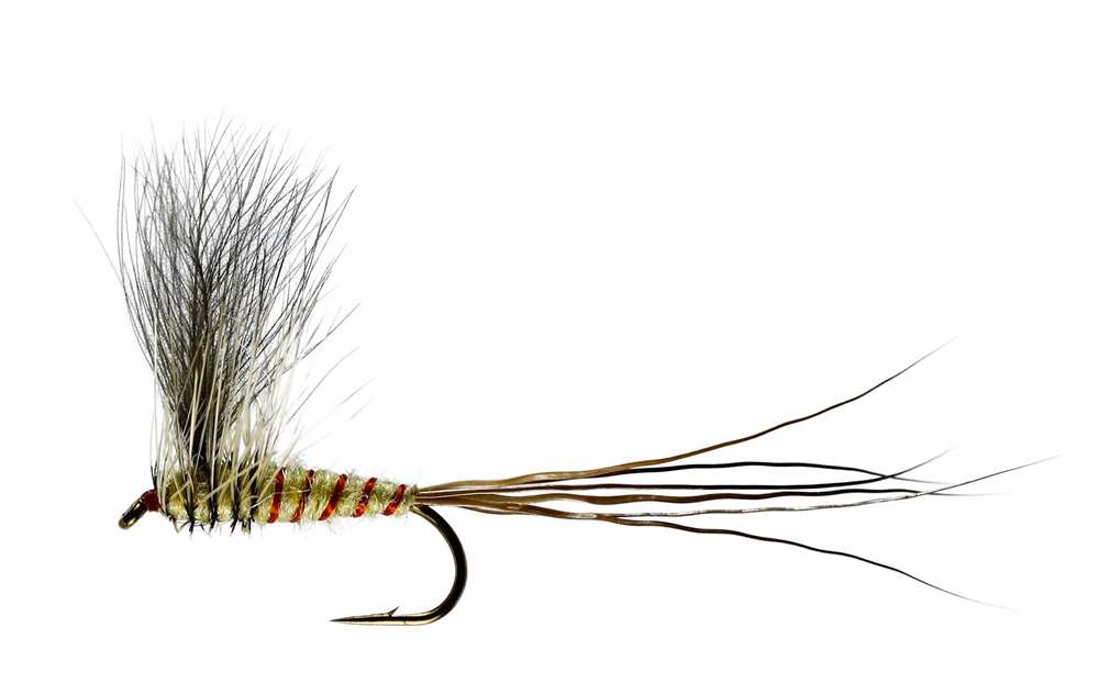 Caledonia Flies Cdc Mayfly Dun #10 Fishing Fly