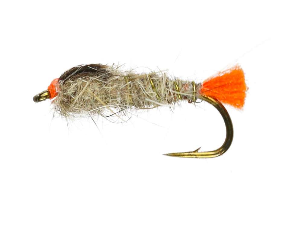 Caledonia Flies Grhe Fire Tail (Unweighted) #12 Fishing Fly
