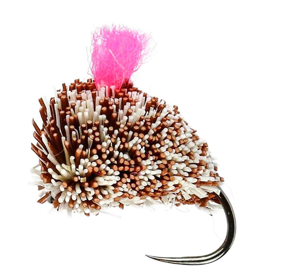 Caledonia Flies Carp Dog Biscuit Barbless #10 Fishing Fly
