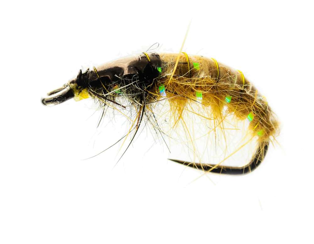 Caledonia Flies Czech Tan Bug Barbless #10 Fishing Fly