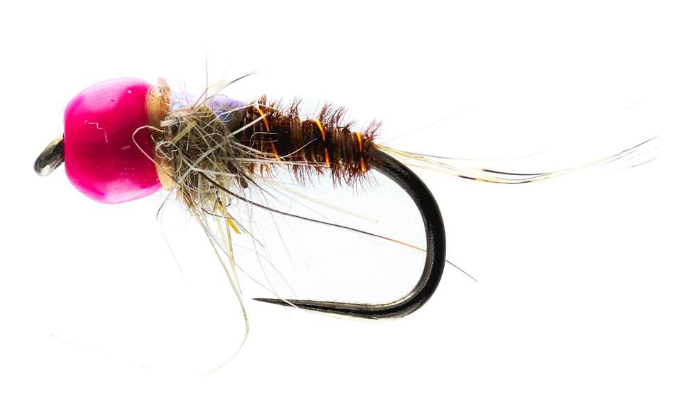 Caledonia Flies Pimp Tung Bug Barbless #14 Fishing Fly