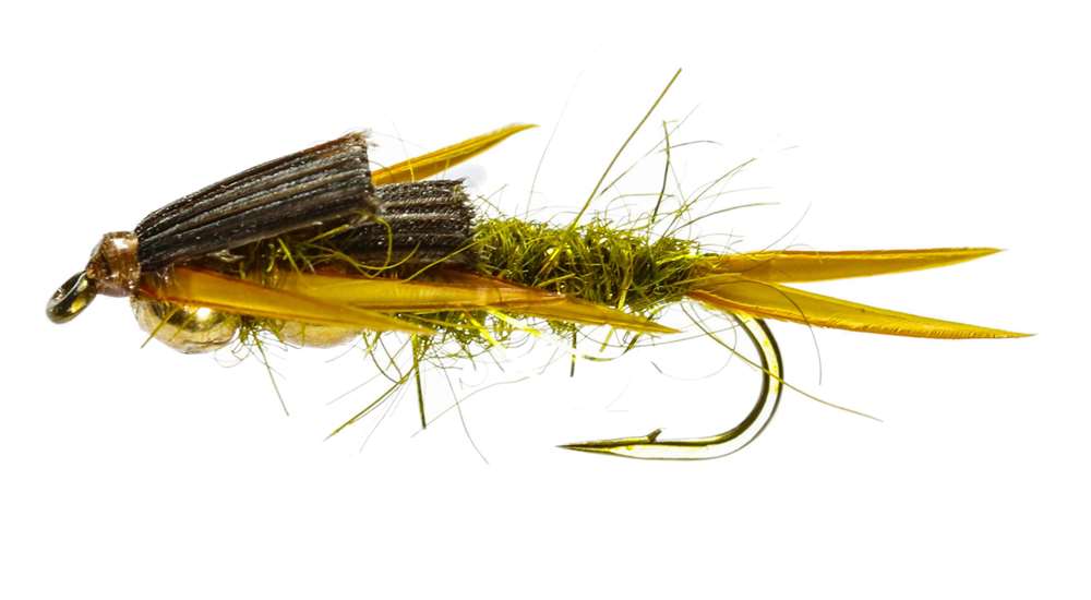 Caledonia Flies Olive Creeper Nymph #12 Fishing Fly