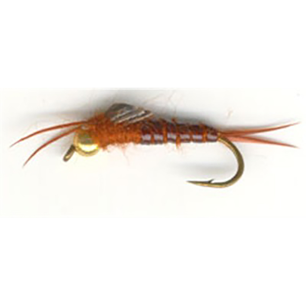 The Essential Fly Bead Head Orange Stonefly Fishing Fly