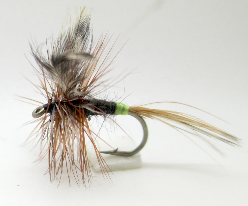 The Essential Fly Adams Female Fishing Fly