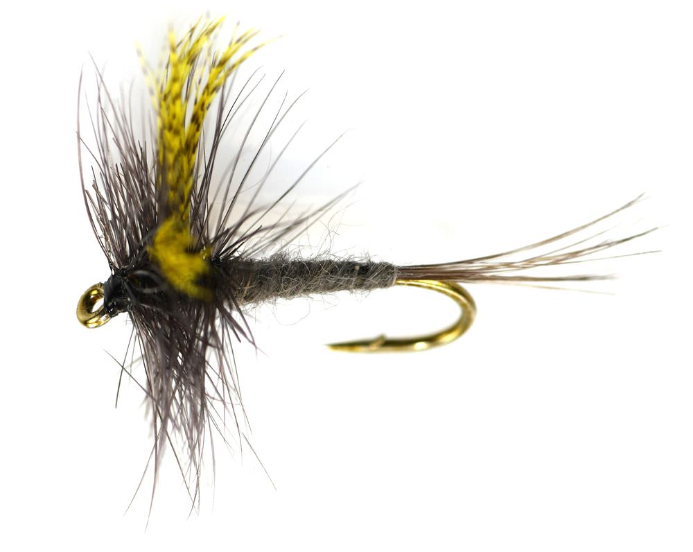 The Essential Fly Dark Hendrickson Fishing Fly